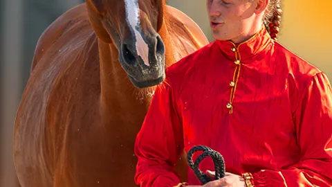 Афиша: Экскурсия «Россия Златогривая» в рабочую конюшню в Москве 19 июля 2026