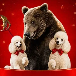 Афиша: Каракат шоу в Саратове 10 июля 2026