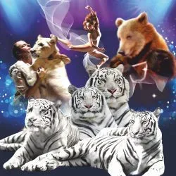 Афиша: Королевство белых тигров в Нижнем Новгороде 31 июля 2026