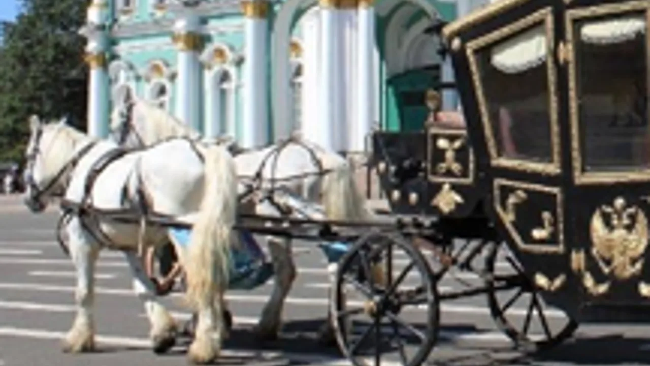 Афиша: Обзорная с посещением Эрмитажа в Санкт-Петербурге 9 июля 2026