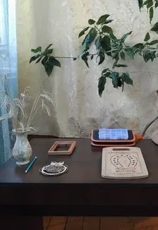 Афиша: Огненная кисть: рисуем светом на дереве. Мастер-класс в Нижнем Новгороде 24 июля 2026