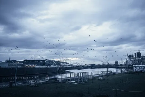 Афиша: Симпл Мьюзик / Simple Music. Циммер, Арнальдс, Рихтер в Москве 15 июля 2026