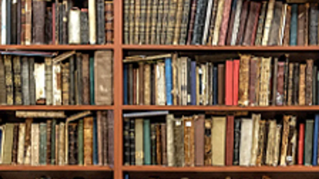 Афиша: Сокровища книжных полок. Тематический вечер в Смоленске 24 июля 2026