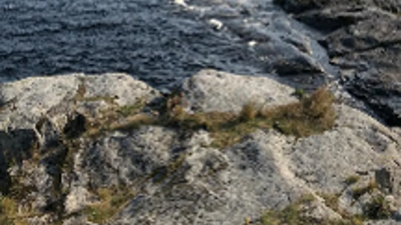 Афиша: Удивительная Карелия: водопады, хаски, олени, водная прогулка по Ладожским шхерам на ладье, посещение рыбной фермы. в Казанской пл.е 23 июля 2026