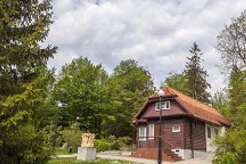 Афиша: Жизнь – творчество. Экспозиция музея Германа Брахерта в Калининграде 1 июля 2026