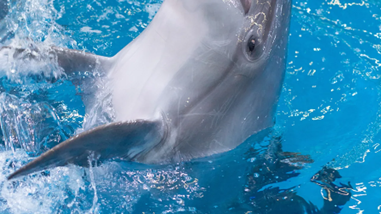 Афиша: Эхо будущего в Нижнем Новгороде 27 июня 2026