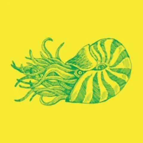 Афиша: Группа «Nautilus Pompilius». Вячеслав Бутусов. Летний концерт в Москве 26 июня 2026