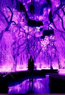 Афиша: Концерт «Сны Миядзаки» в Futurione Emotions в Санкт-Петербурге 25 июня 2026