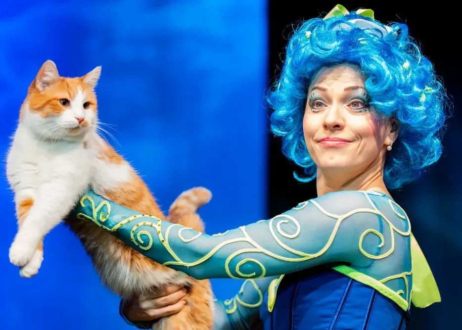 Афиша: Коты спасают мир в Новороссийске 28 июня 2026