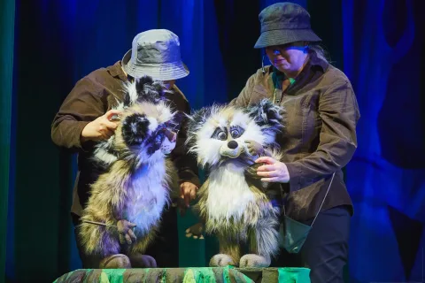 Афиша: Крошка Енот в Новосибирске 12 июня 2026