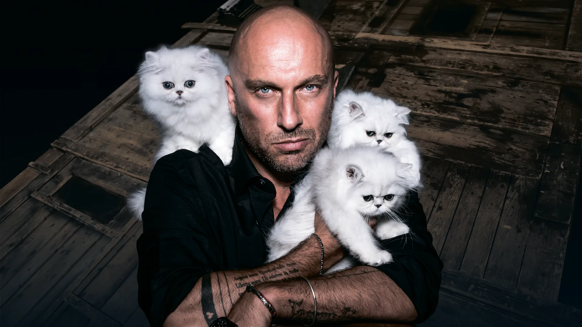 Афиша: Кыся в Москве 29 июня 2026