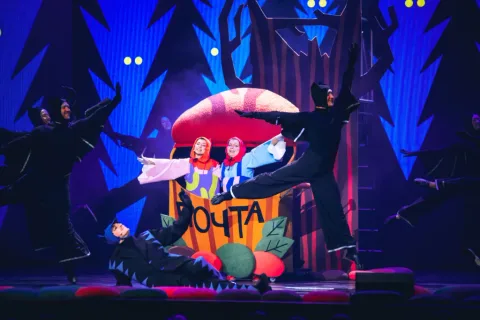 Афиша: Лесные приключения в Хабаровске 11 июня 2026