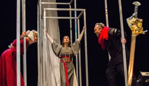 Афиша: Лев зимой в Екатеринбурге 14 июня 2026