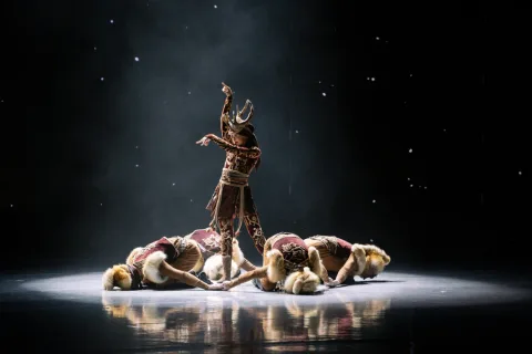 Афиша: Новый взгляд. Красноярский государственный академический ансамбль танца Сибири им. Михаила Годенко в Красноярске 23 июня 2026