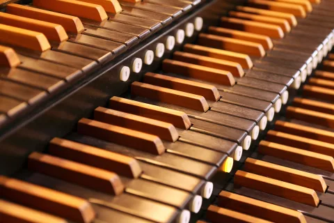 Афиша: Органные мистерии и импровизации в Санкт-Петербурге 6 июня 2026