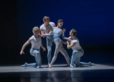 Афиша: Отражения. Королевы вариаций в Москве 7 июня 2026