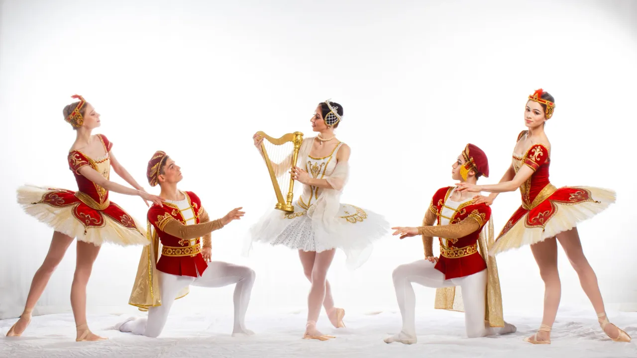 Афиша: Раймонда в Тольятти 14 июня 2026