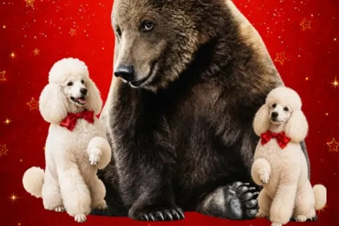 Афиша: Цирк "Каракат-шоу" в Саратове" у ТРЦ "Happy Молл" в Саратове 27 июня 2026