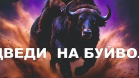 Афиша: Цирк «Торнадо» в Краснодаре 6 июня 2026