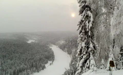 Афиша: Усьвинские столбы в Перми 12 июня 2026