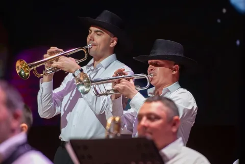 Афиша: Вечер джазовой и танцевальной музыки в Новосибирске 16 июня 2026