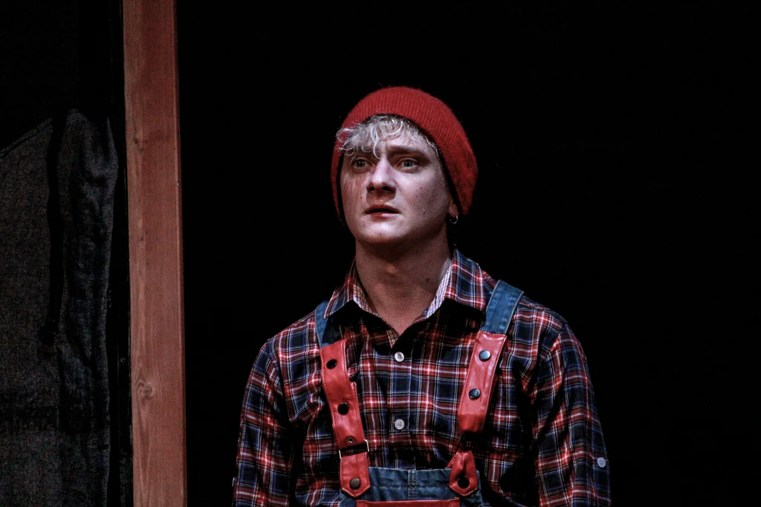 Афиша: Чудесное путешествие Нильса с дикими гусями в Москве 29 марта 2026