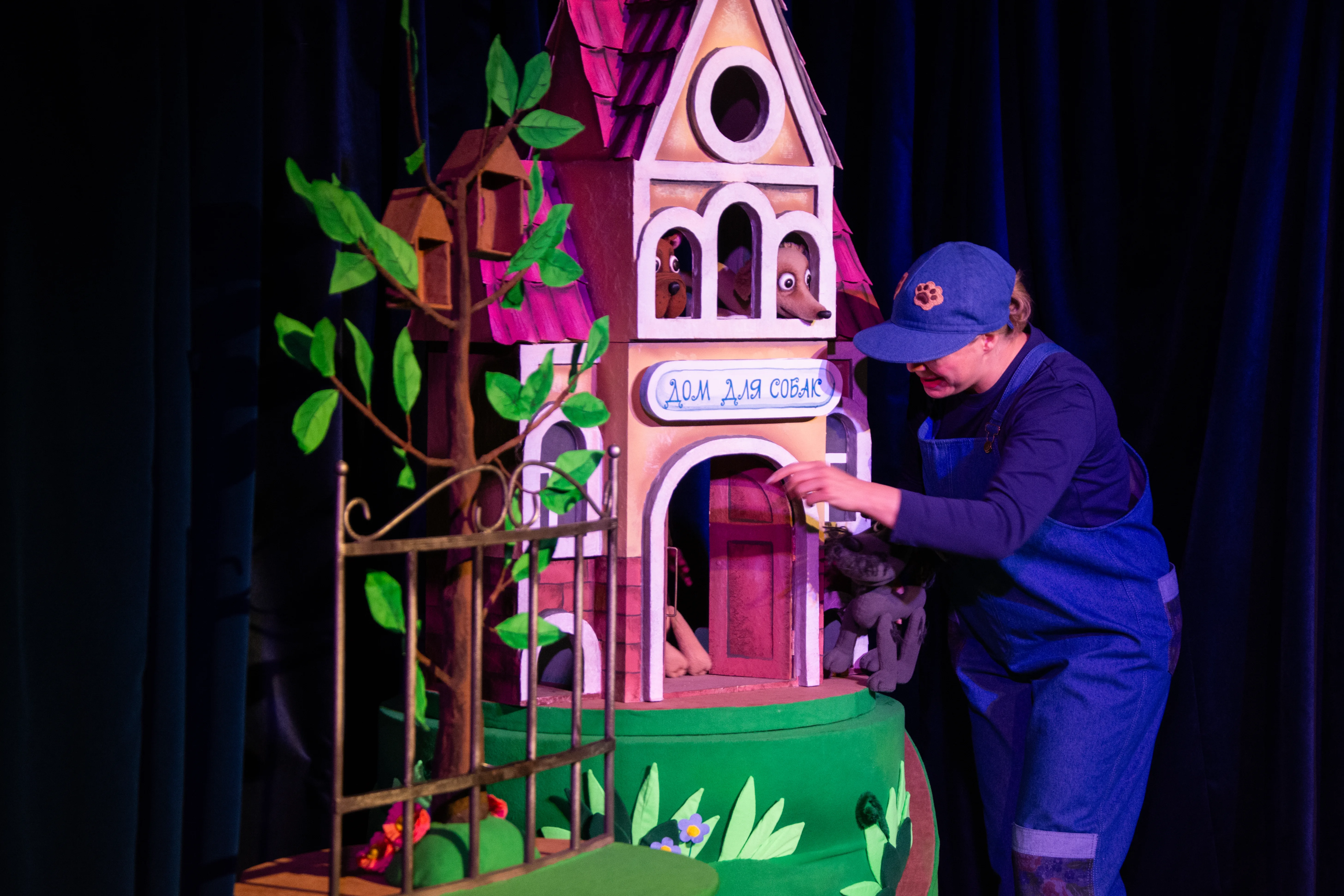 Афиша: Добрый дом для собак в Архангельске 26 марта 2026