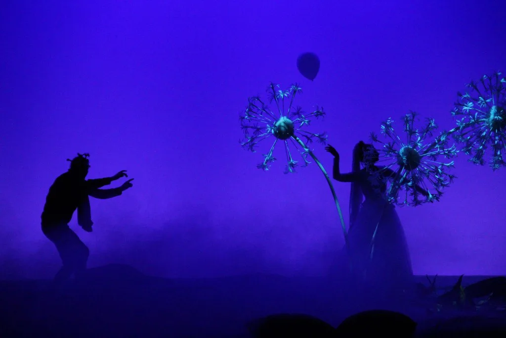 Афиша: Ёжик в тумане в Красноярске 28 марта 2026