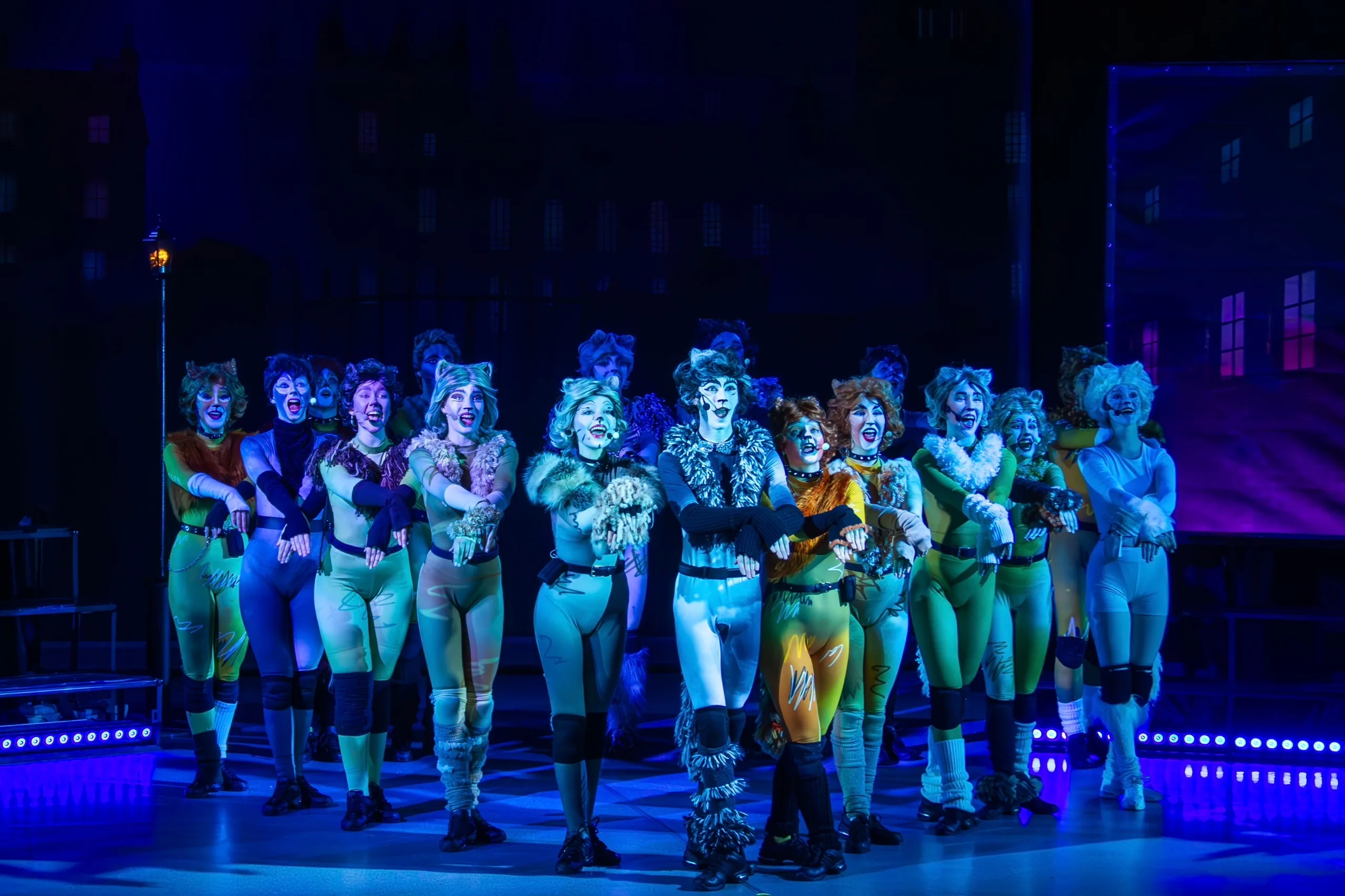 Афиша: Кошки в Санкте-Петербург 24 марта 2026