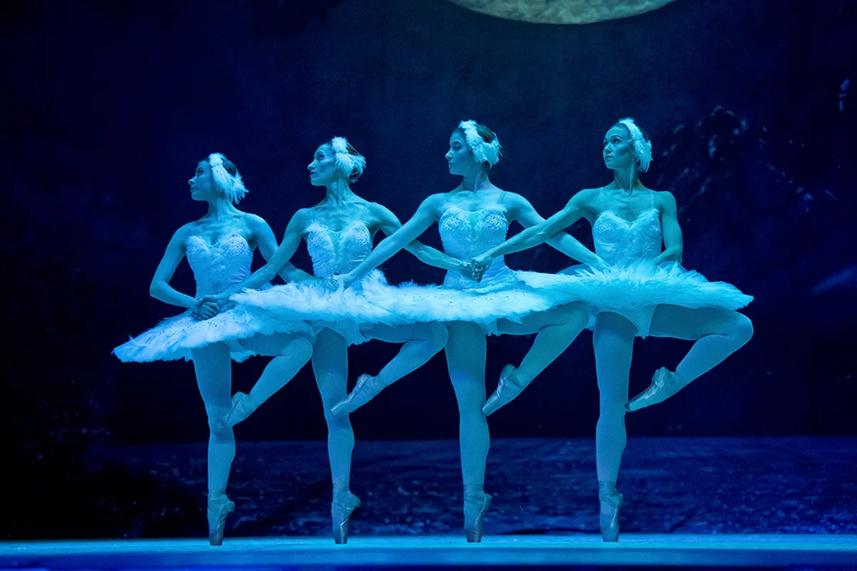 Афиша: Лебединое озеро в Омске 28 марта 2026