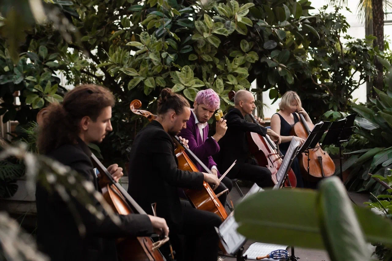 Афиша: Магия свечей. Рок-хиты на виолончелях в оранжерее в Санкт-Петербурге 25 марта 2026