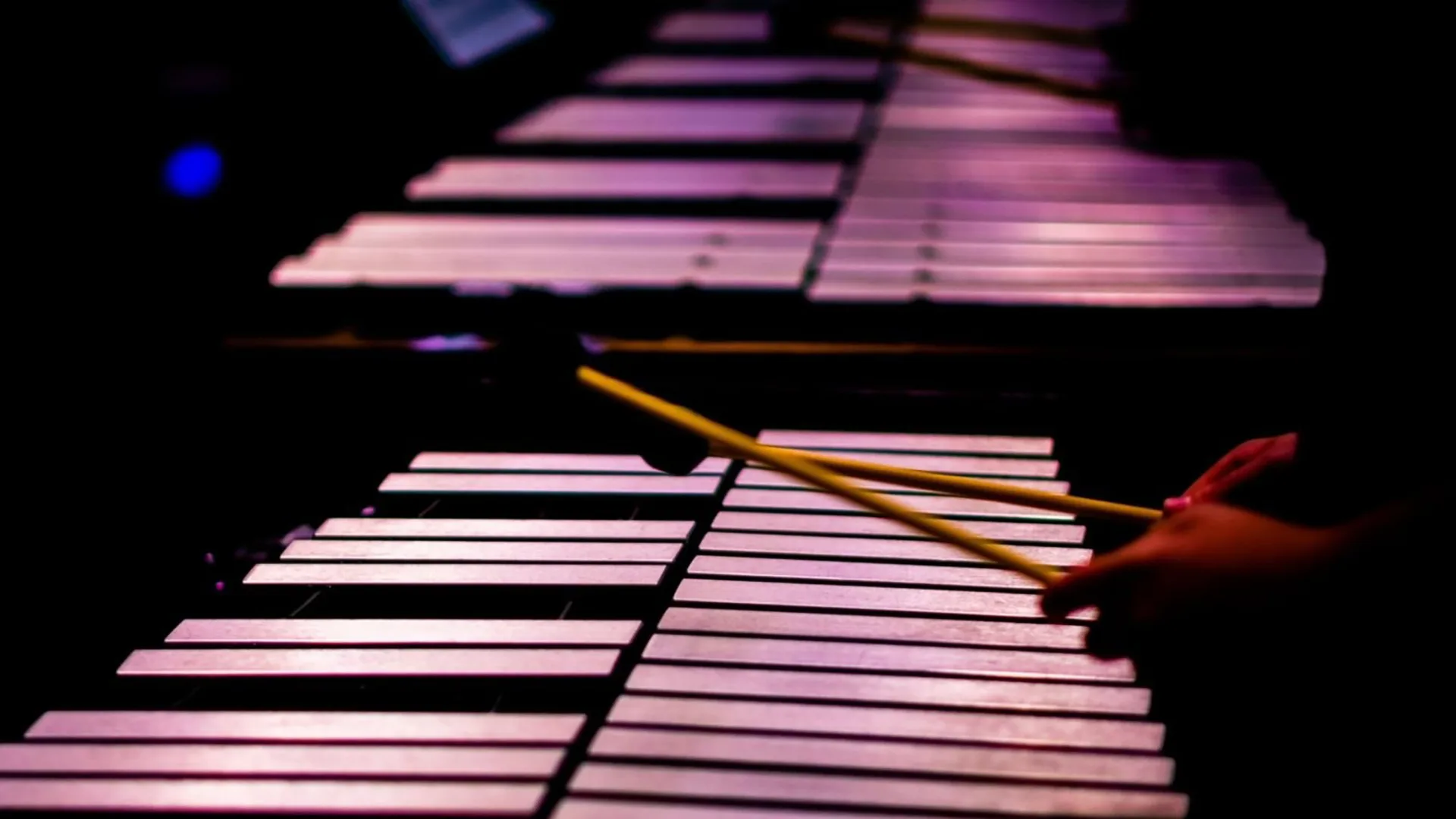 Афиша: Необыкновенный концерт. От маримбы до калимбы в Санкт-Петербурге 26 марта 2026