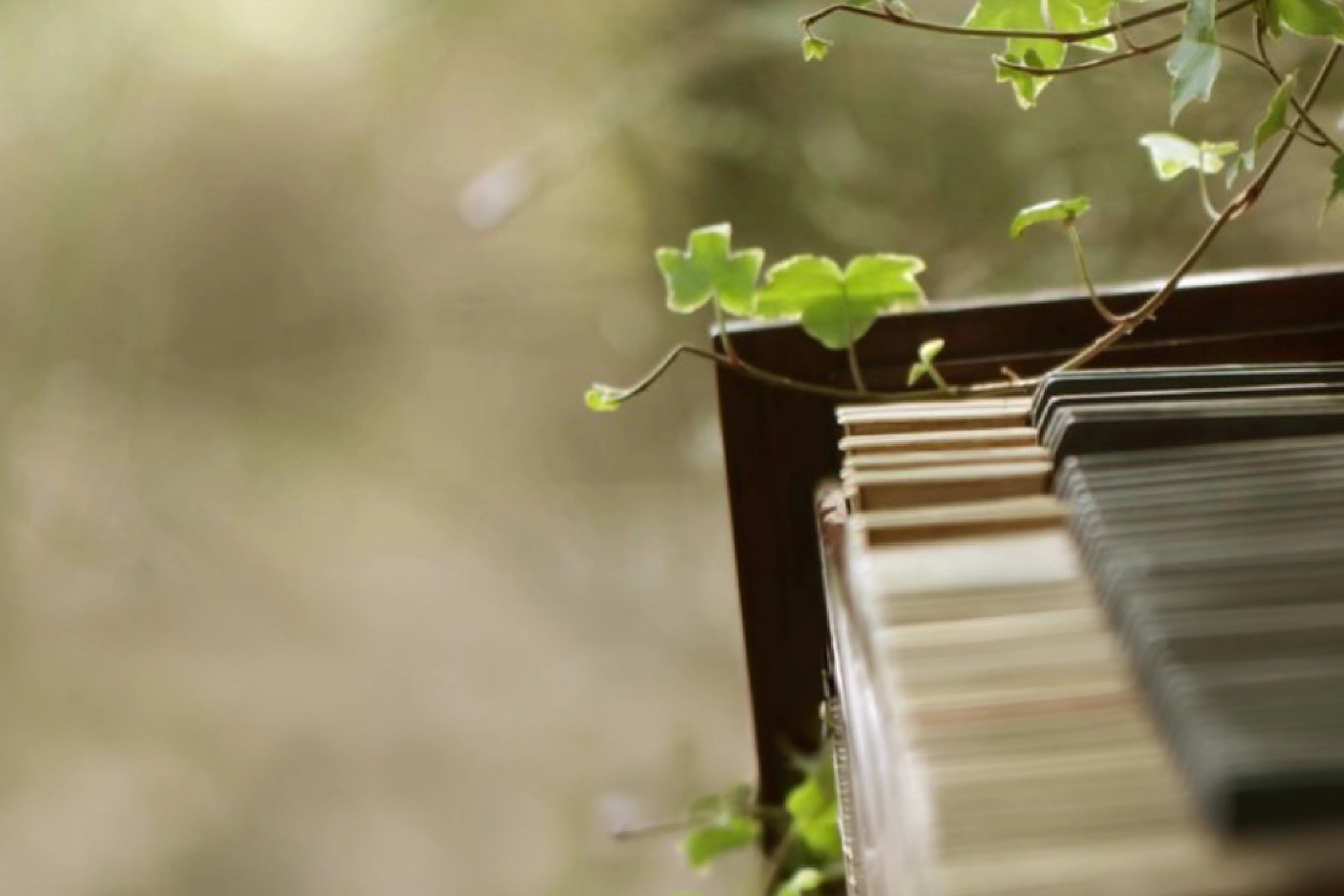 Афиша: О чём поёт весна! в Новосибирске 28 марта 2026