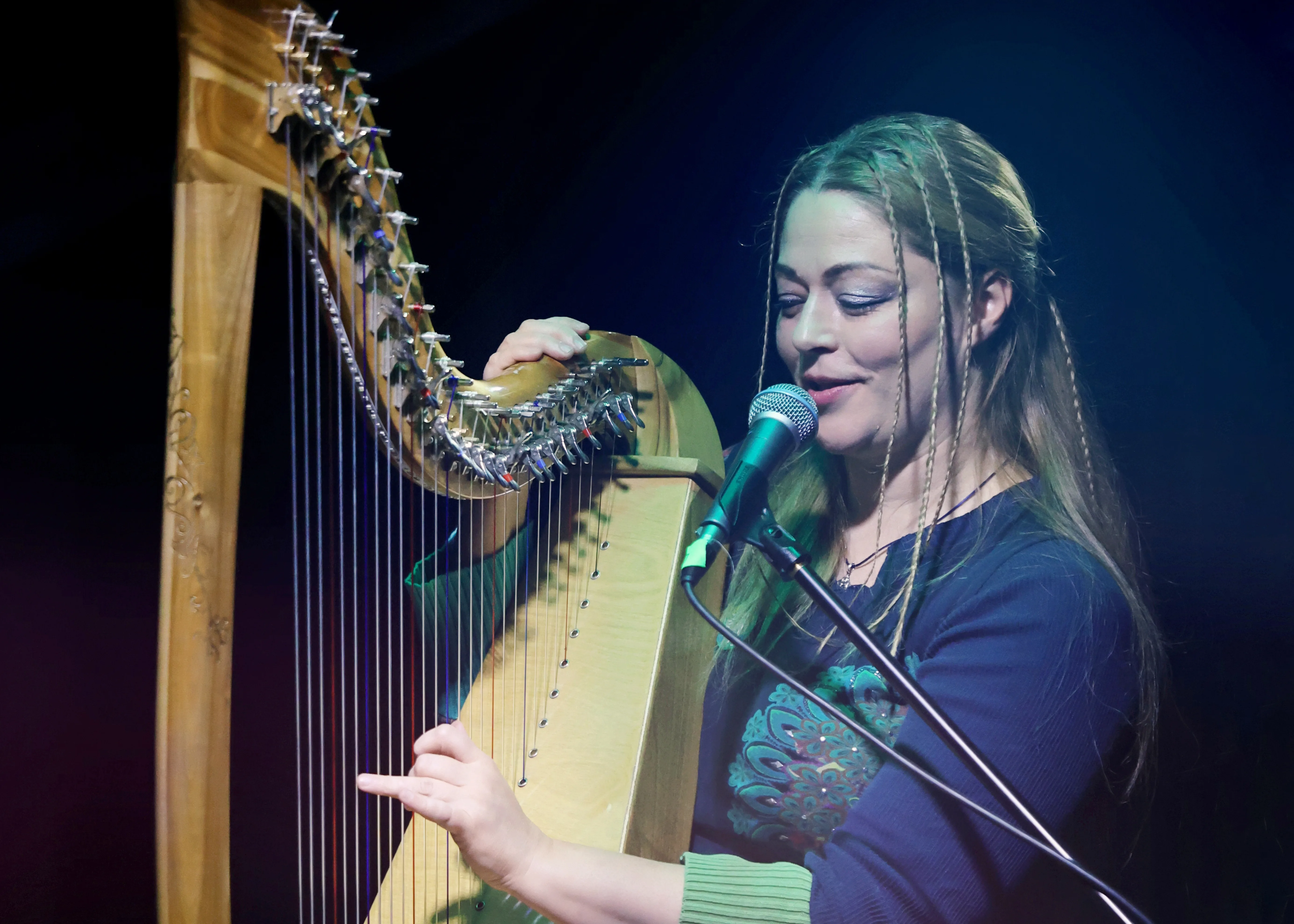 Афиша: Орган и кельтская арфа в Липецке 25 марта 2026