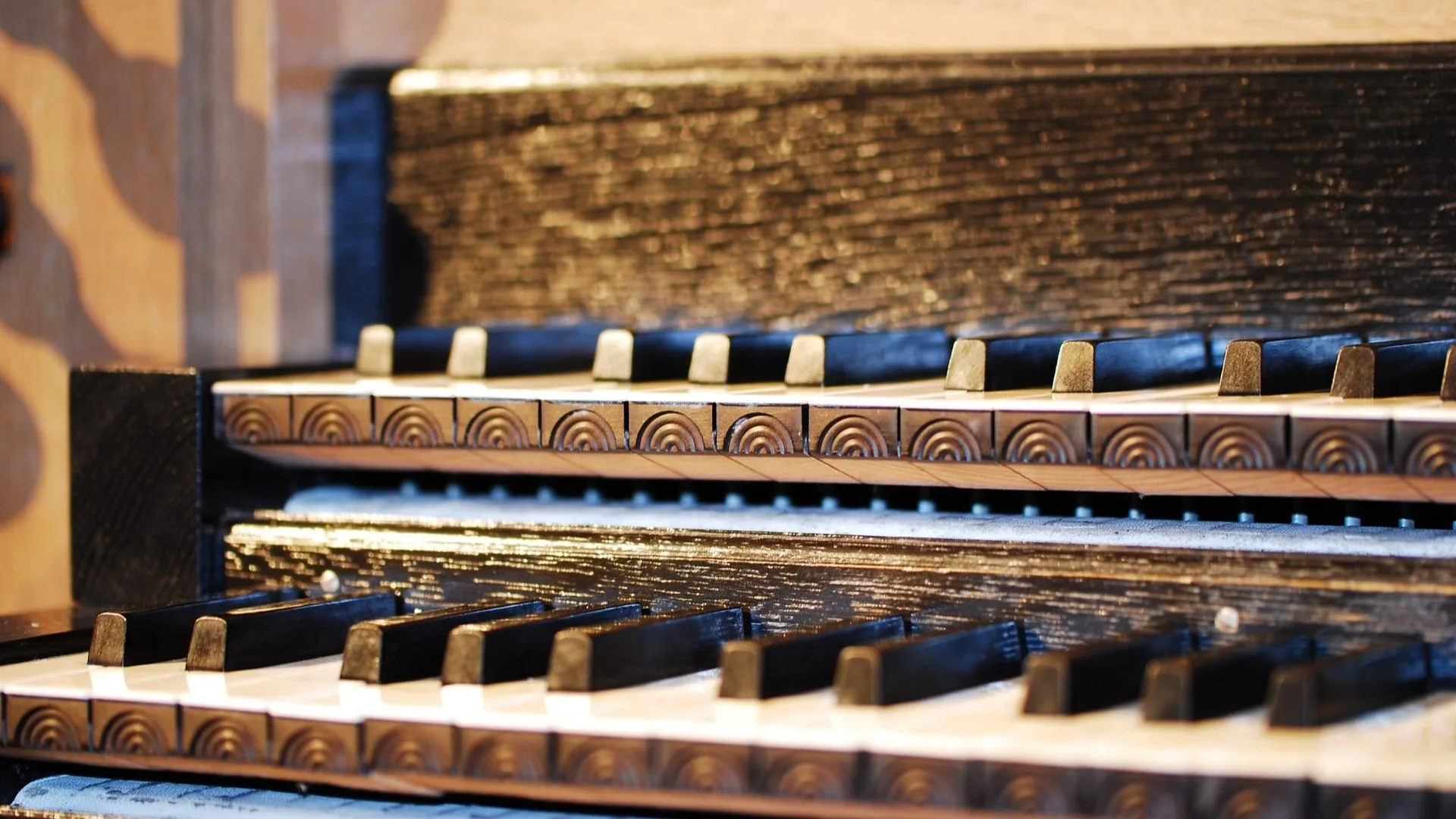 Афиша: Орган при свечах. Ave Maria и мелодии весны в Санкт-Петербурге 25 марта 2026