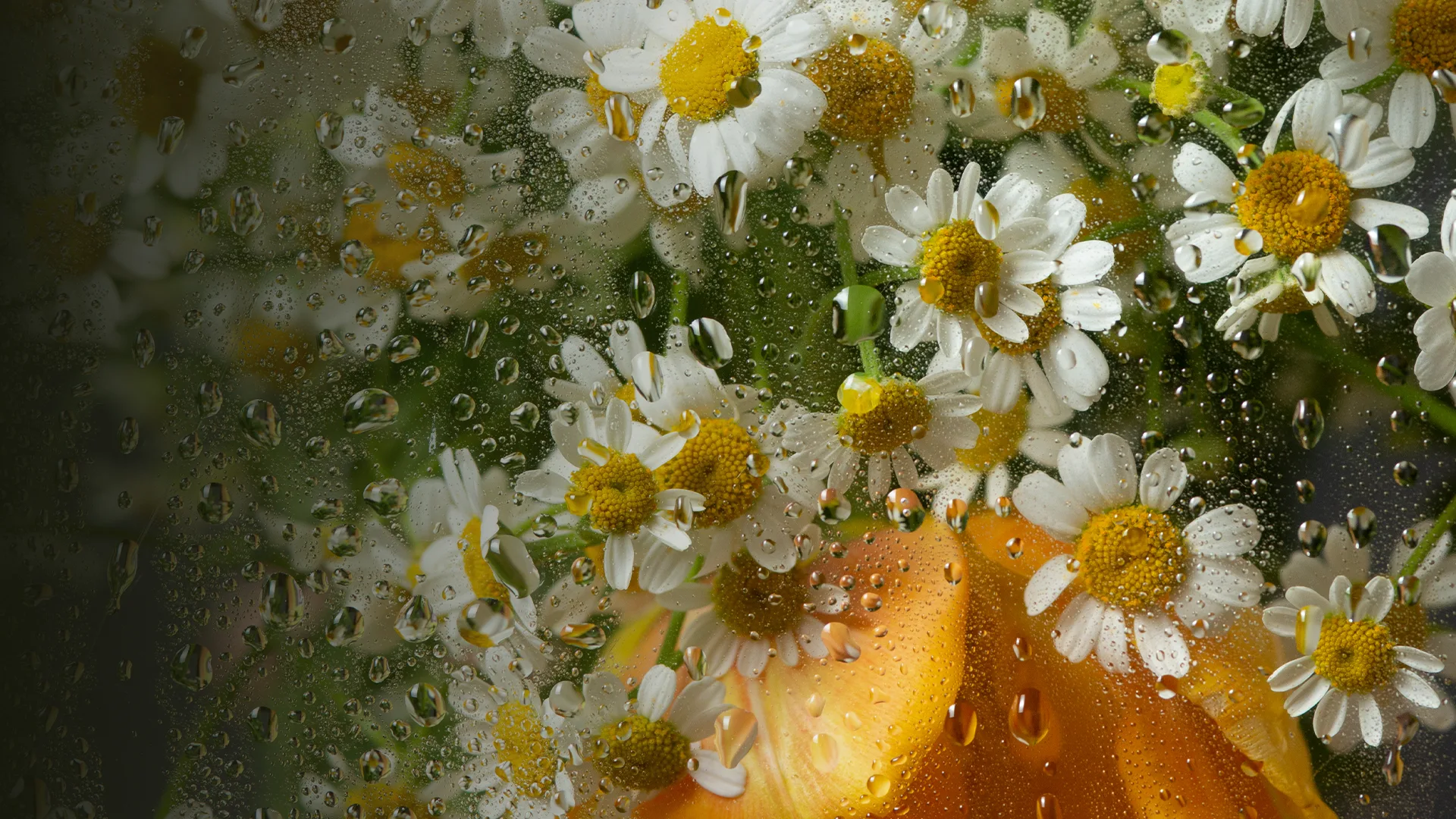 Афиша: Оркестр «Модерн». Рихтер & Эйнауди: оркестровые эскизы в Екатеринбурге 27 марта 2026