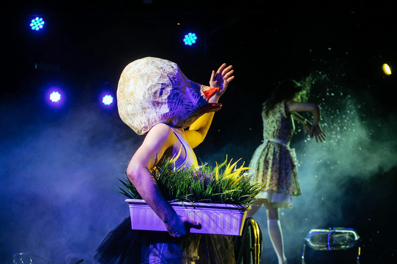 Афиша: Пахлава глупости в Краснодаре 24 марта 2026