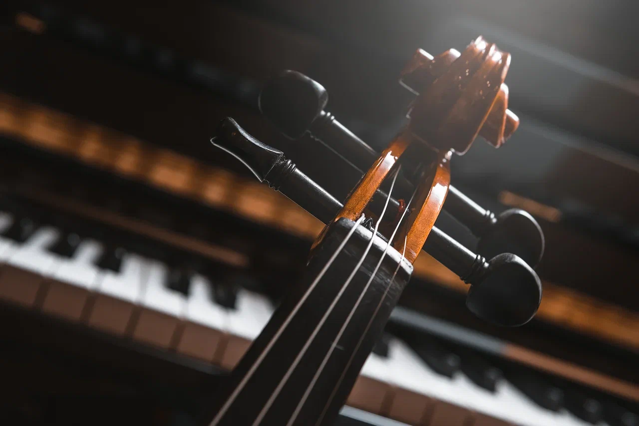 Афиша: Шедевры французской лирической оперы в Санкт-Петербурге 28 марта 2026