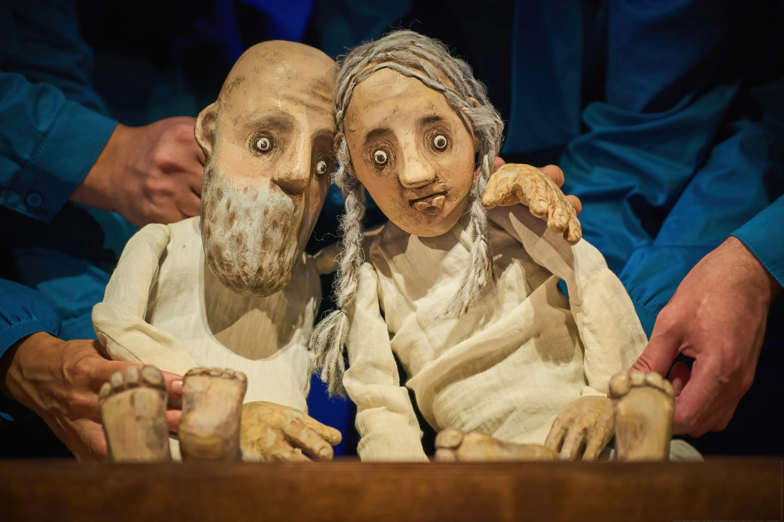 Афиша: Сказка о рыбаке и рыбке в Новосибирске 28 марта 2026