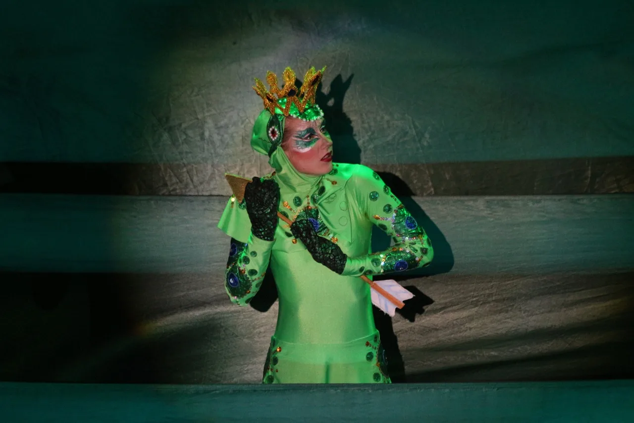 Афиша: Сказка о Василисе Прекрасной, или Царевна-лягушка в Санкт-Петербурге 28 марта 2026