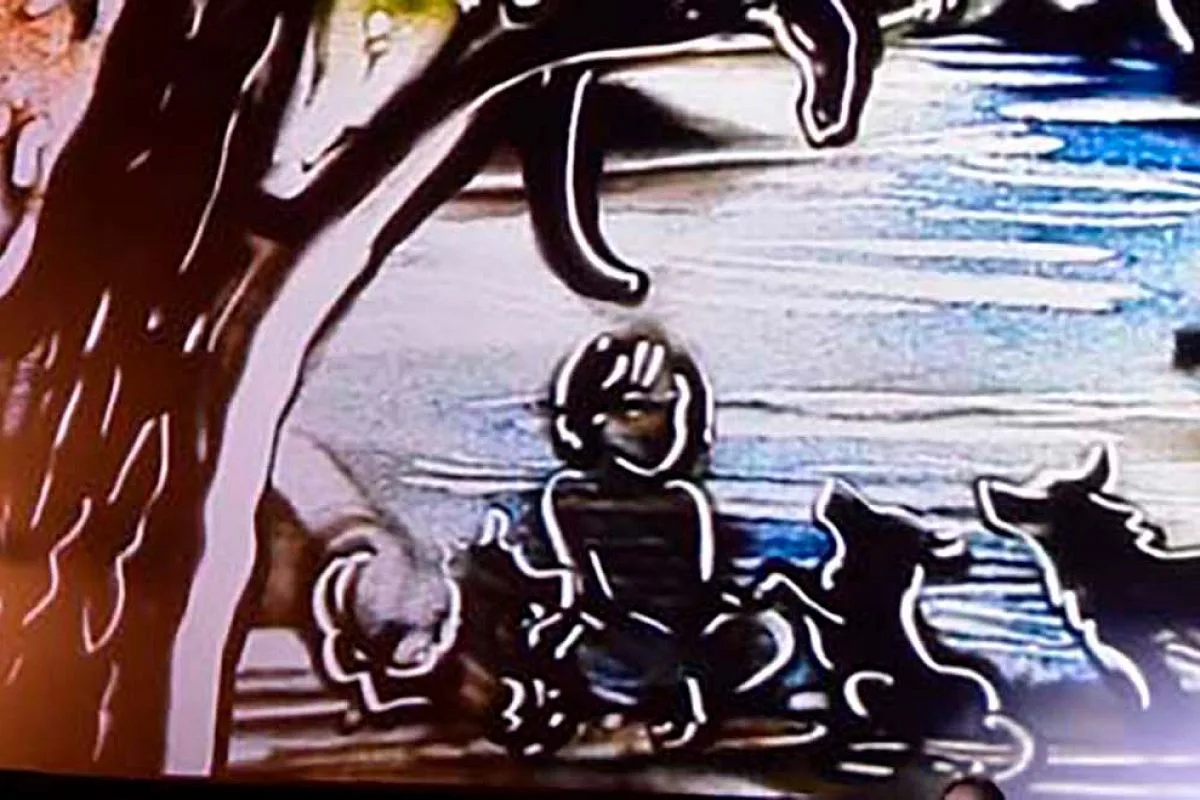 Афиша: Сказка с органом и песочной анимацией. Маугли в Москве 28 марта 2026