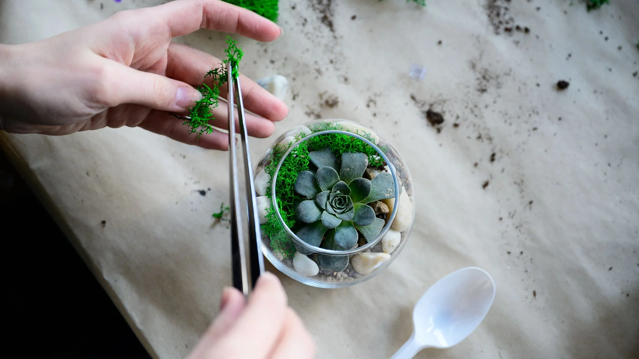 Афиша: Создание флорариума в Туле 28 марта 2026