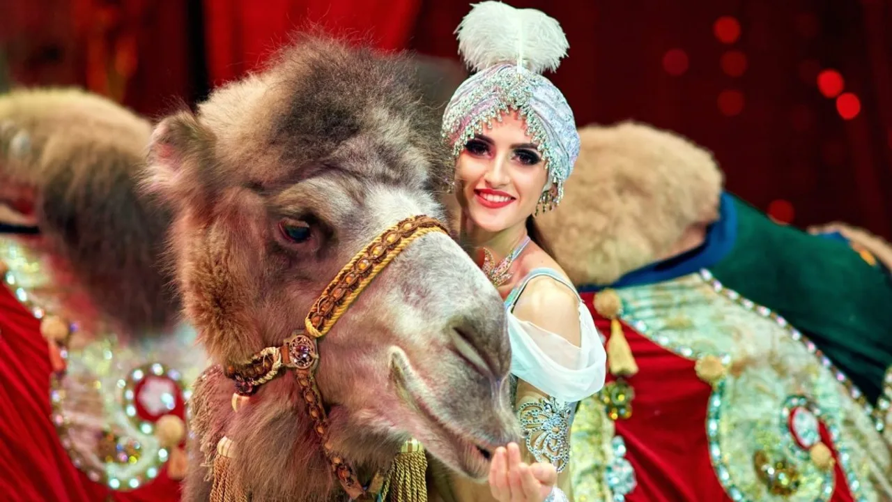 Афиша: Тропик-шоу в Курске 14 марта 2026