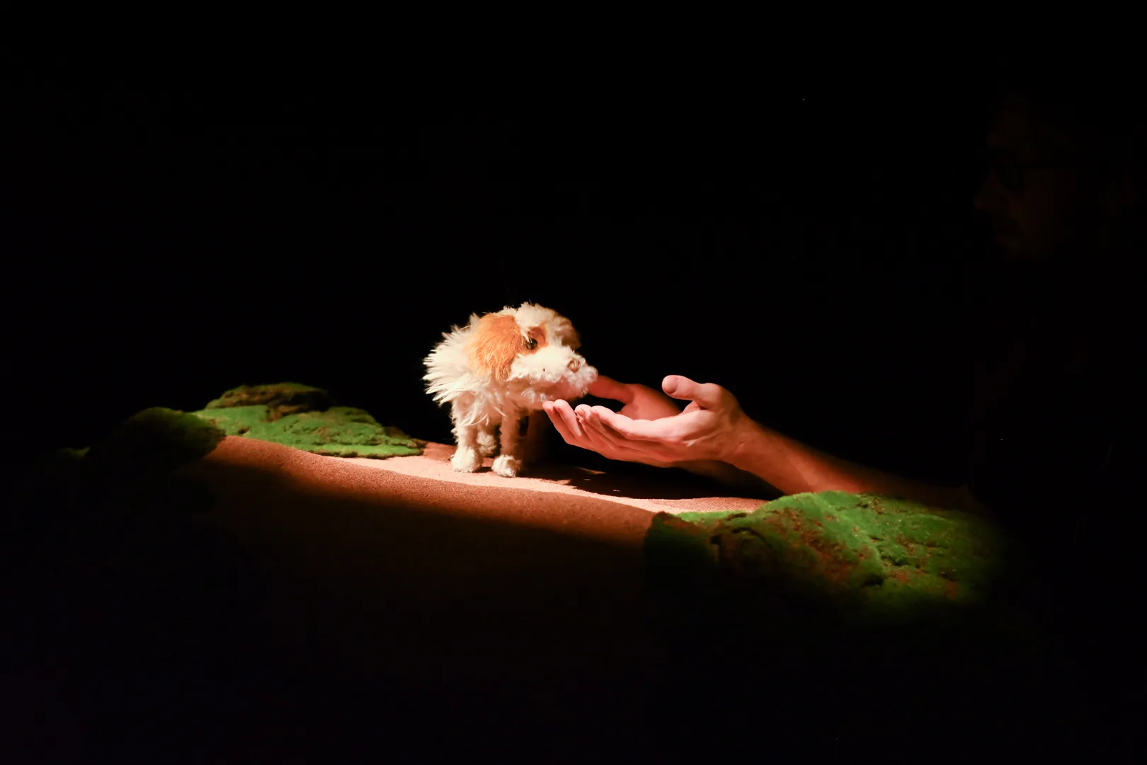 Афиша: Умная собачка Соня в Санкт-Петербурге 29 марта 2026