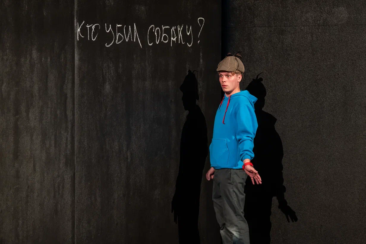 Афиша: Загадочное ночное убийство собаки в Москве 25 марта 2026