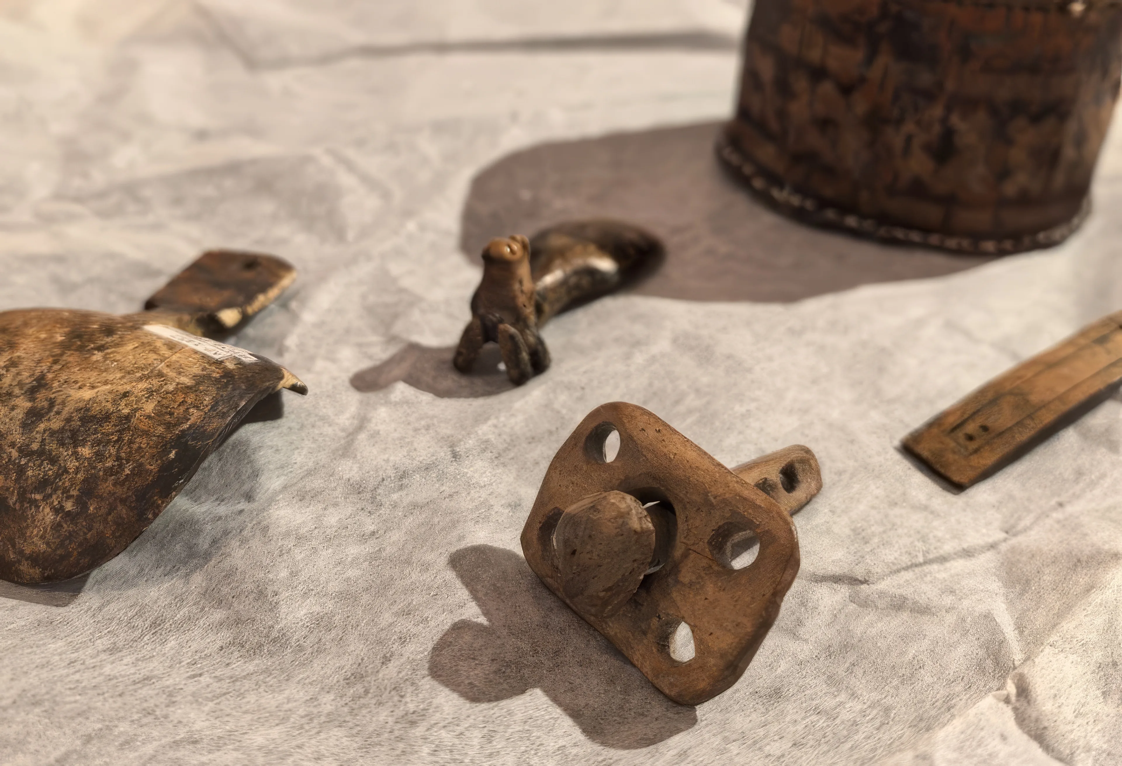 Афиша: 40000 лет и зим. Долгий сон мамонтенка Любы в Томске 15 мая 2026