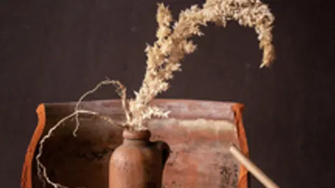 Афиша: Антология натюрморта. Выставка Валерии Левшиной в Краснодаре 22 мая 2026