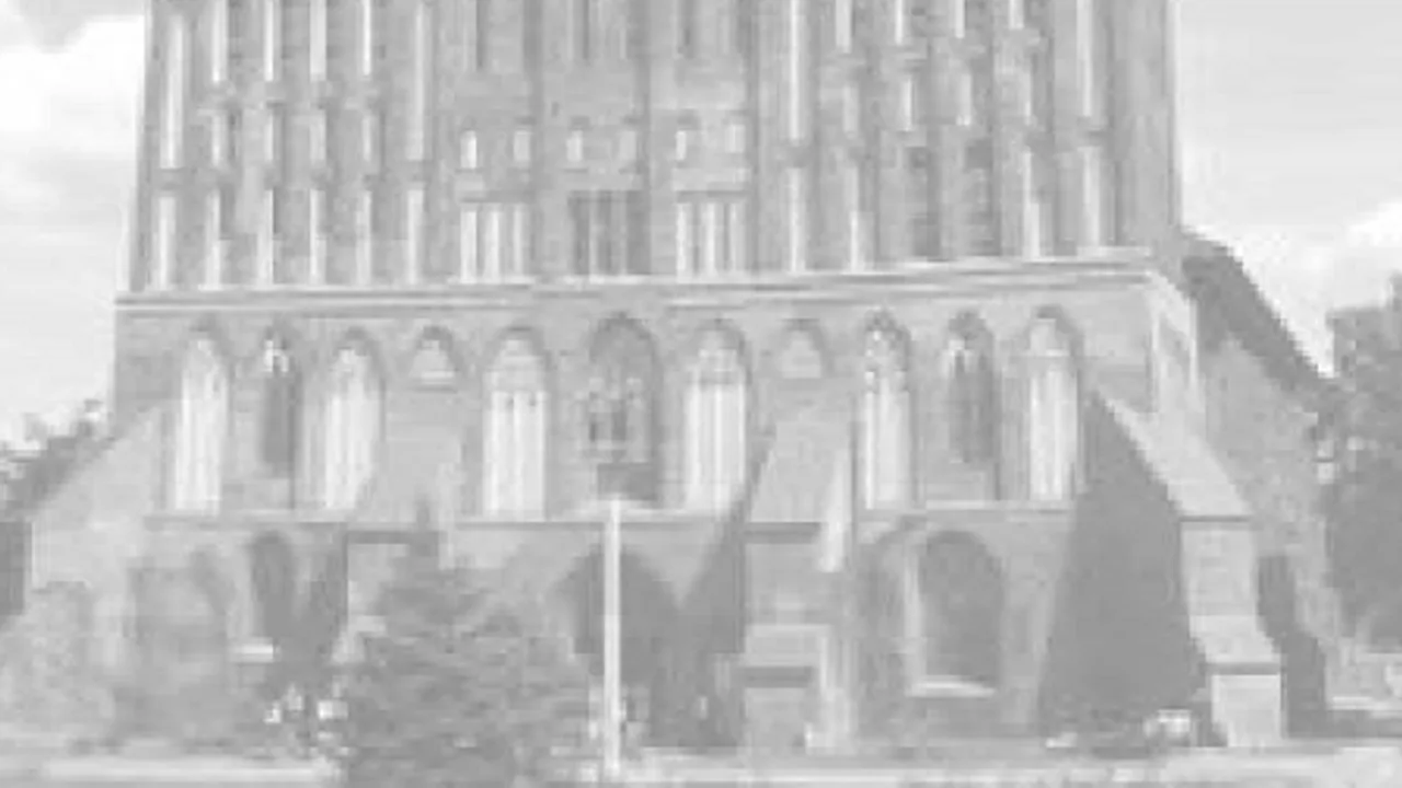 Афиша: Авторские исторические дегустационные сеты в кафе Солёная ворона в Калининграде 25 мая 2026