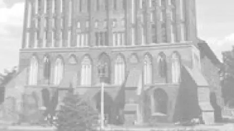 Афиша: Авторские исторические дегустационные сеты в кафе Солёная ворона в Калининграде 25 мая 2026