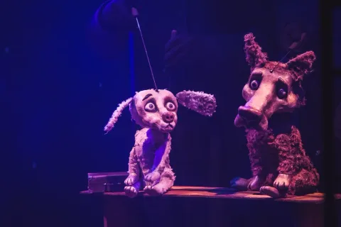 Афиша: Бах-бах-бах в Ханты-Мансийске 8 мая 2026